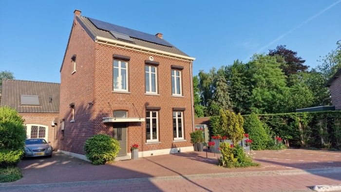 Anno 1919