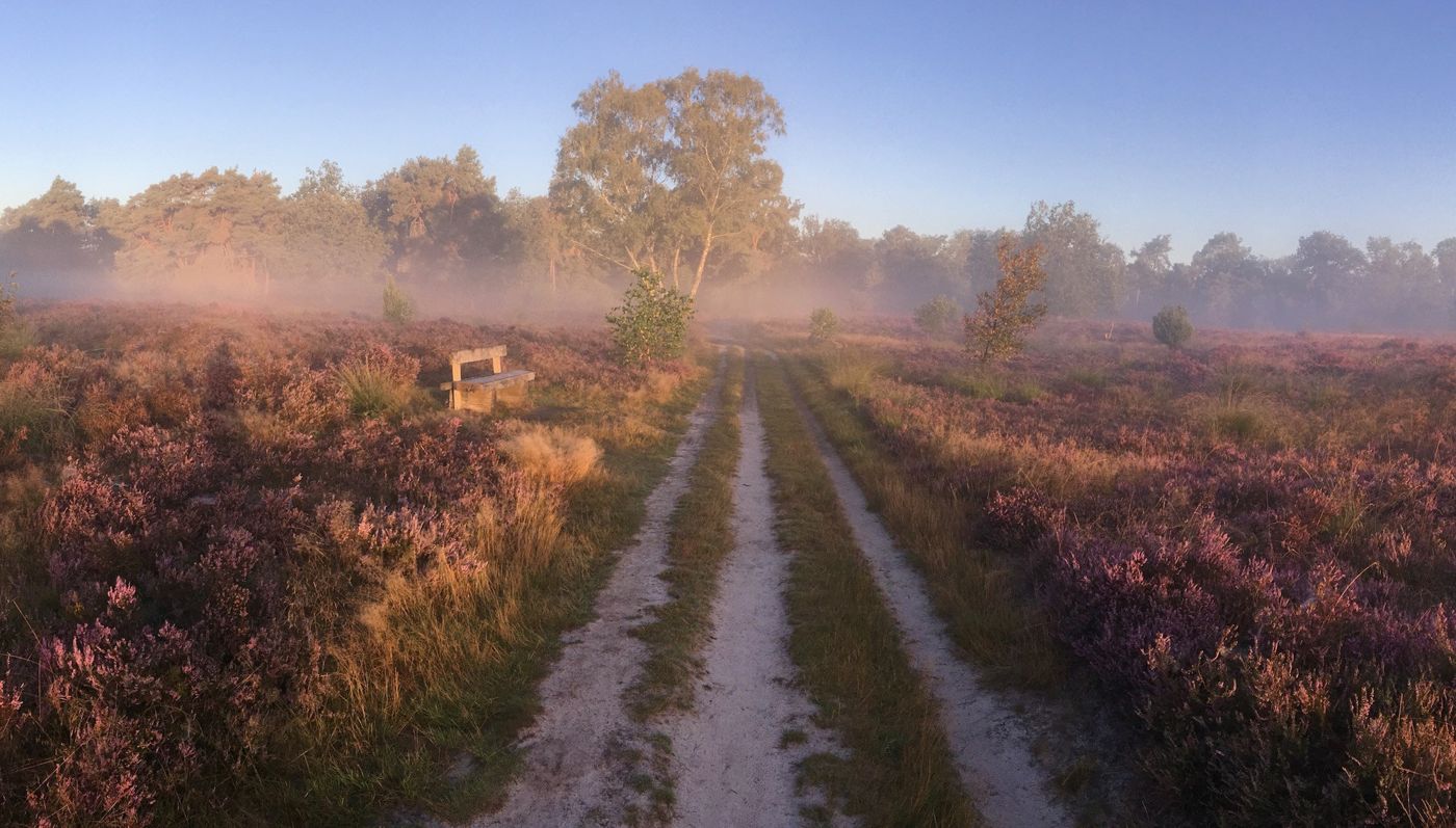 De Rulse Hoeve