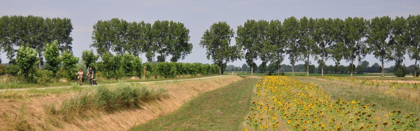 Hoeve Oude Tol