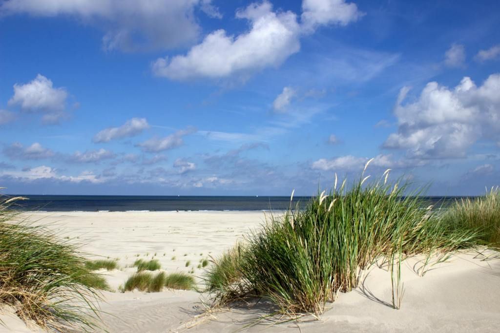 B&B Ouddorps Huisje