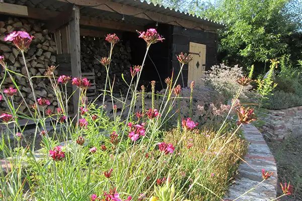 Bed & Breakfast Zintuinen