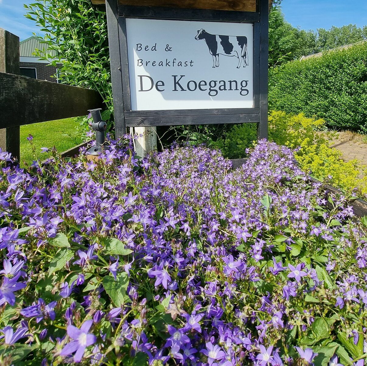 Bed & Breakfast De Koegang