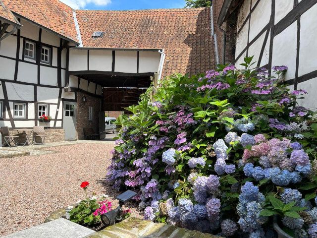 Vakantiewoningen Hoeve de Witte Olifant