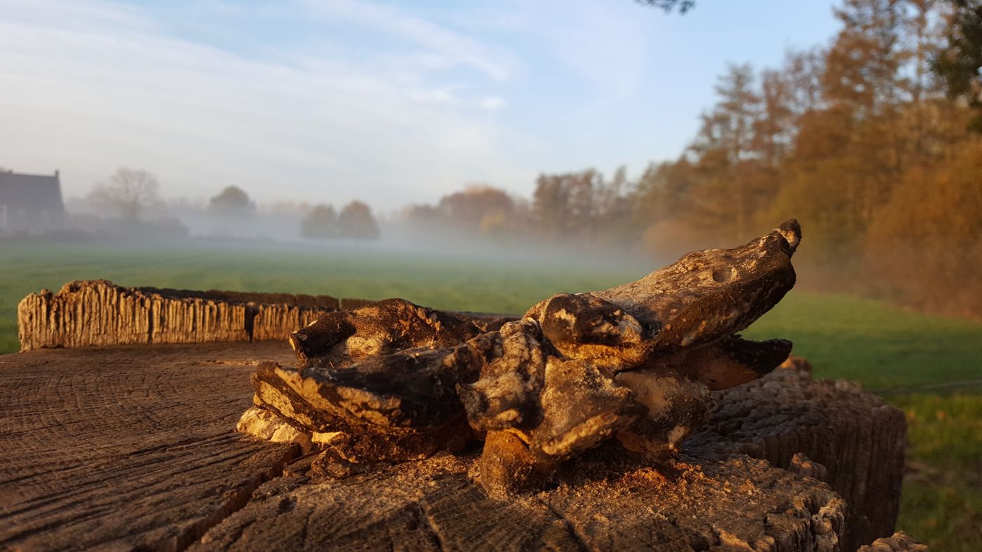 B&B de Pottenbakkershoeve