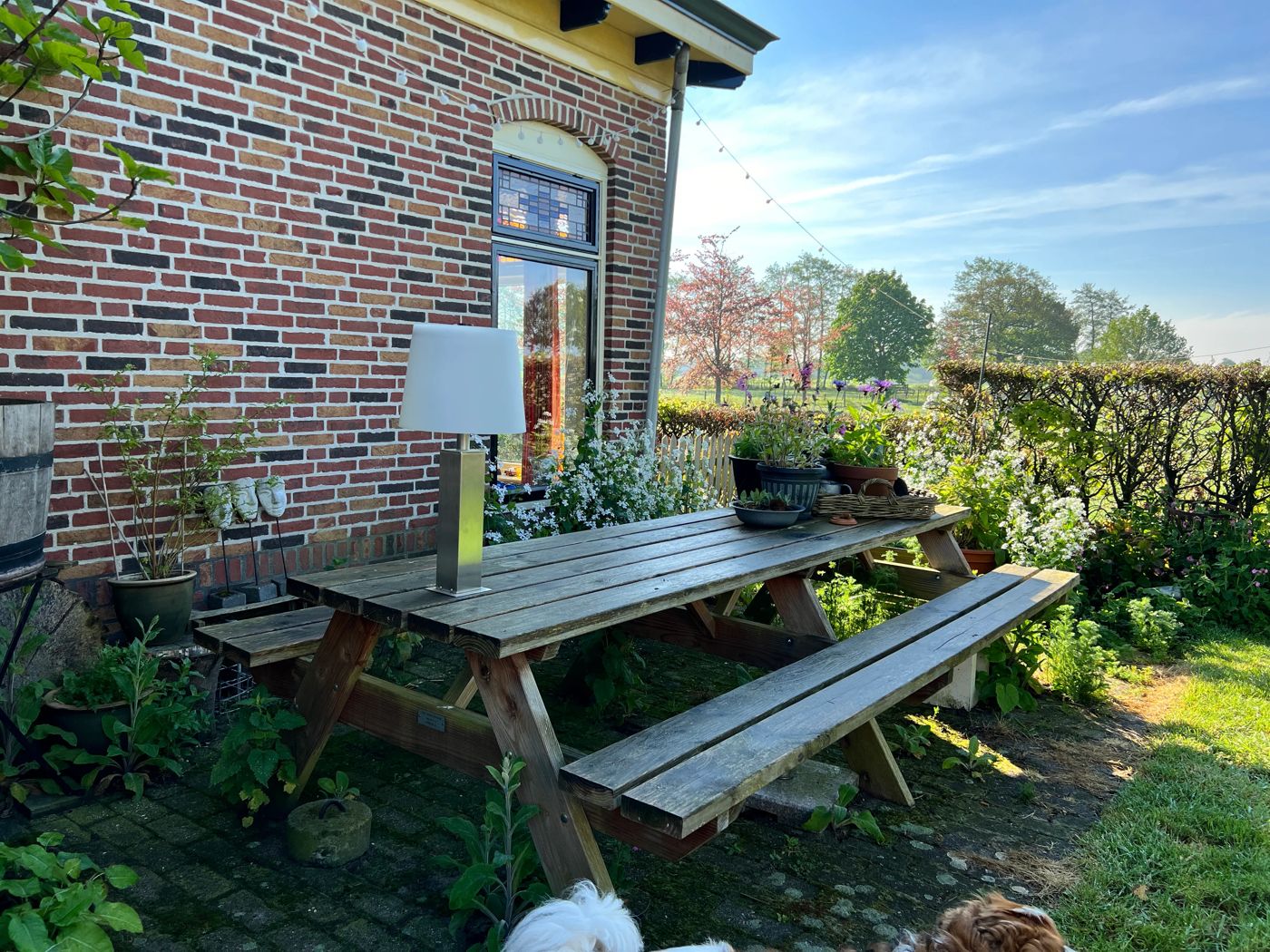 B&B Zandhuizen