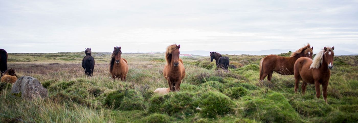 Landgoed De Lavei