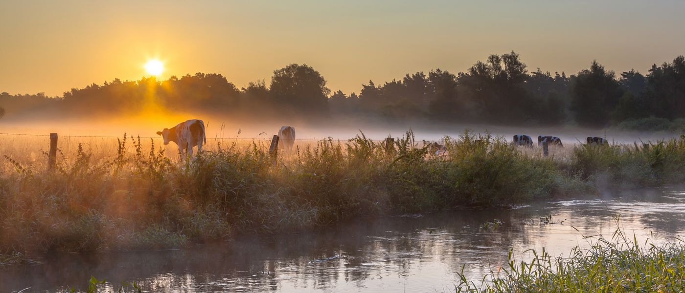 Bed & Breakfast de Hooimoat