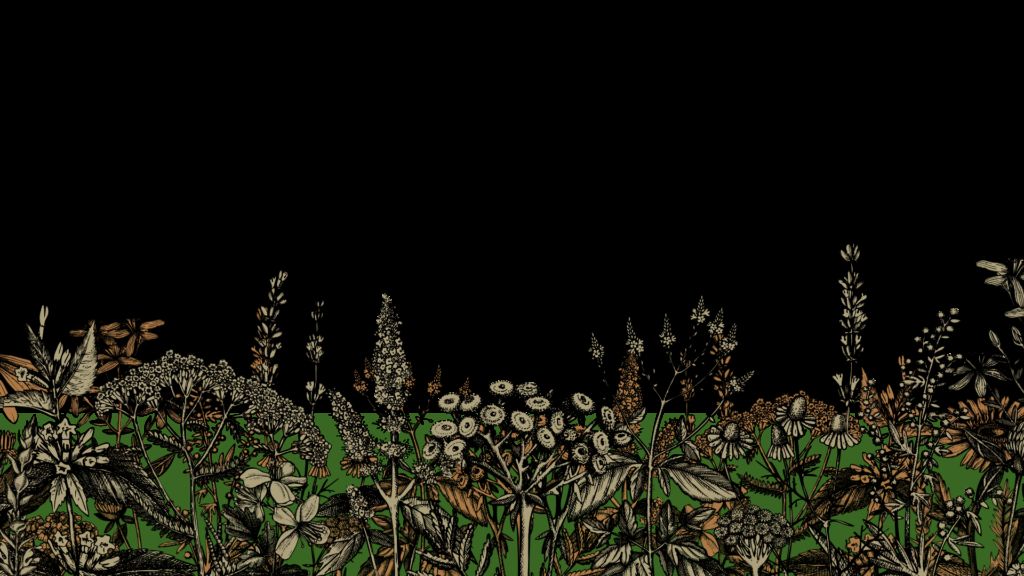 Silver Garden