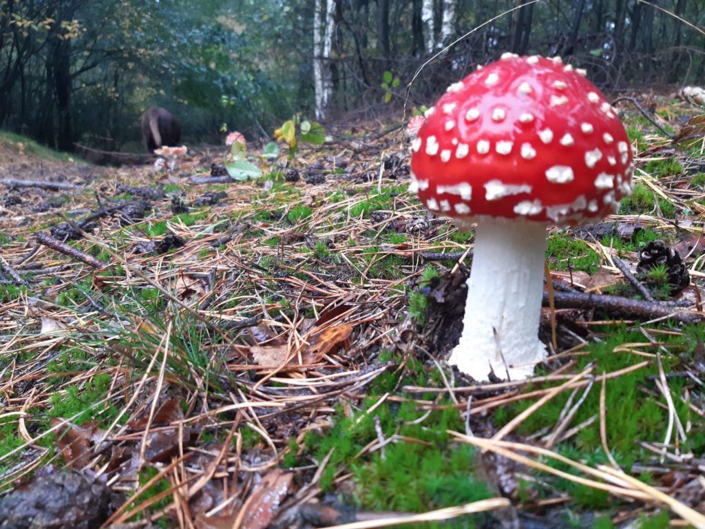 Gastenverblijf Lheederhof