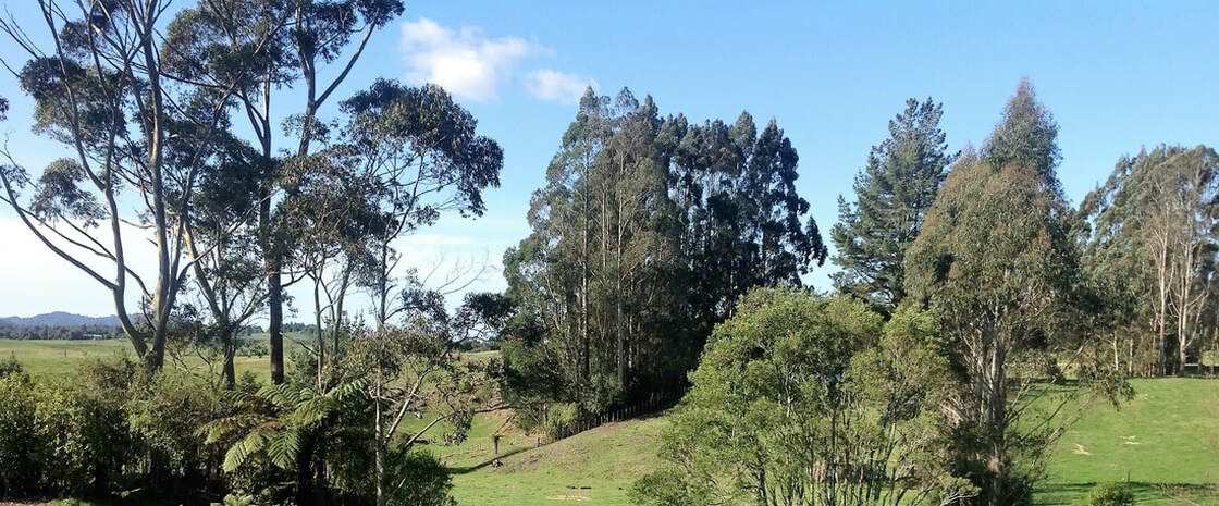 Rolling Hills Country Stay