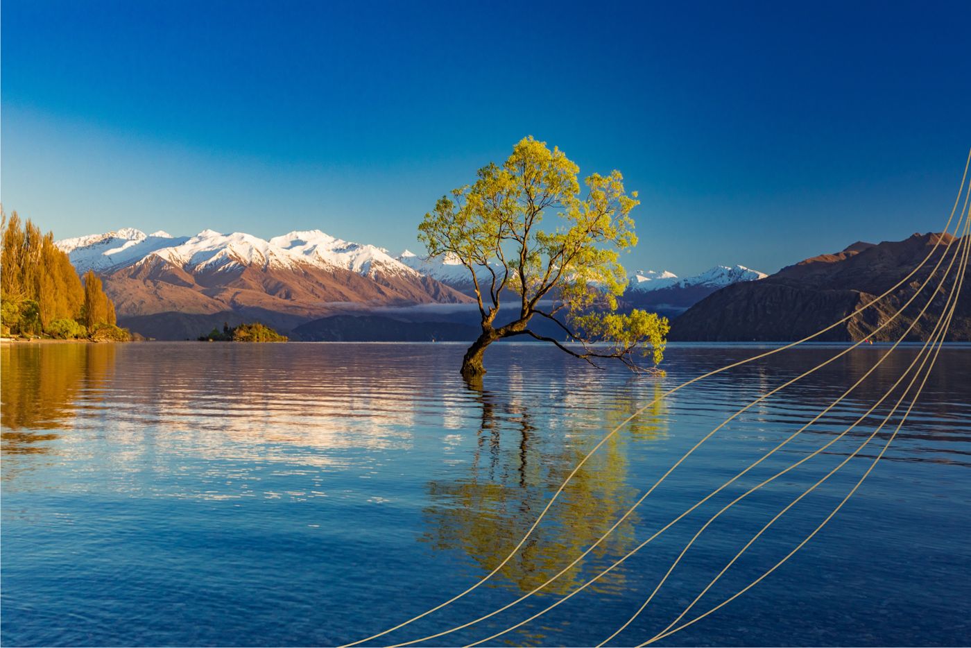 Wanaka Springs Lodge