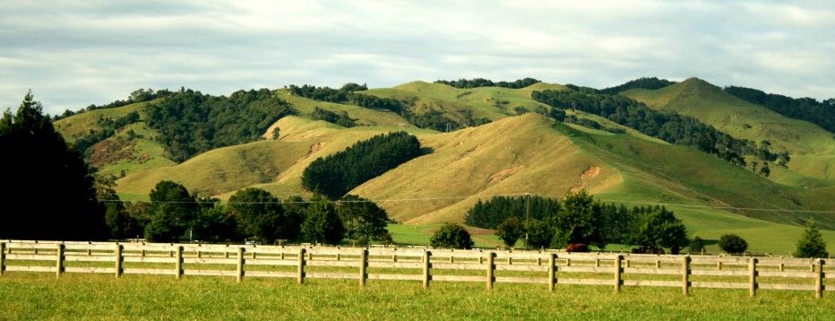 Lexington Park Cottages & Equestrian Facility