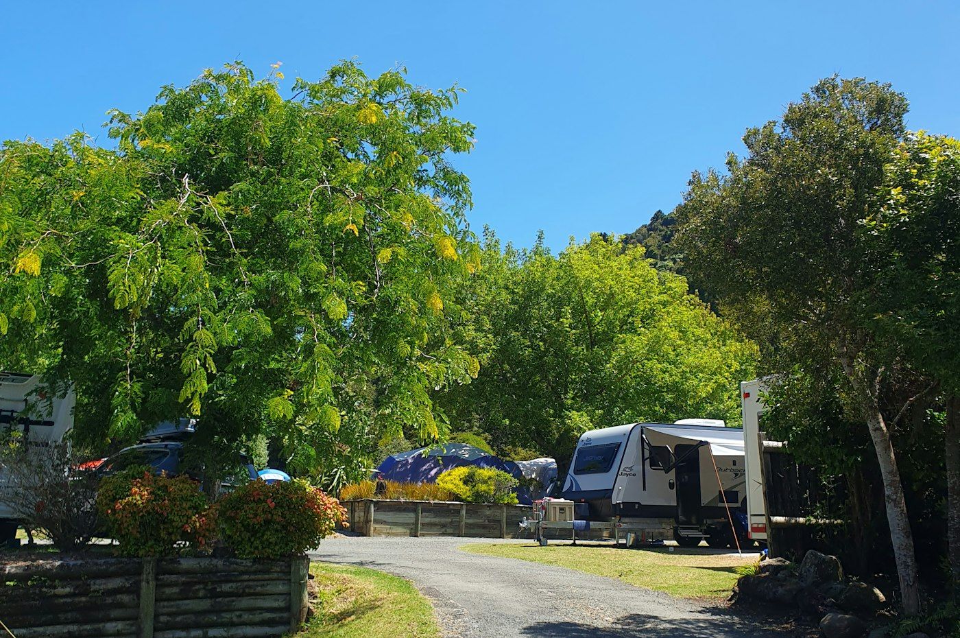 Kauri Coast TOP 10 Holiday Park