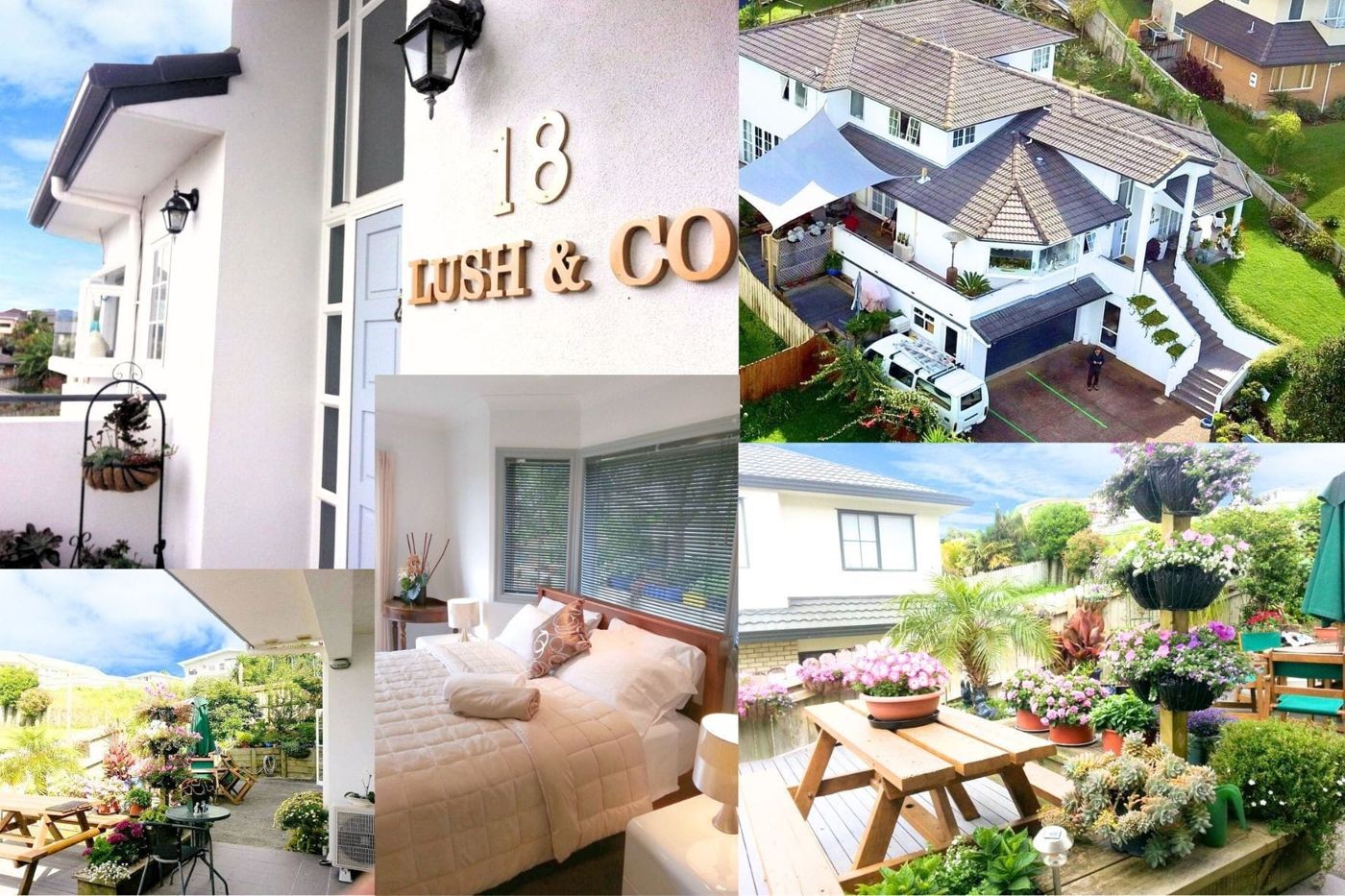 Lush and Co Auckland Bed and Breakfast