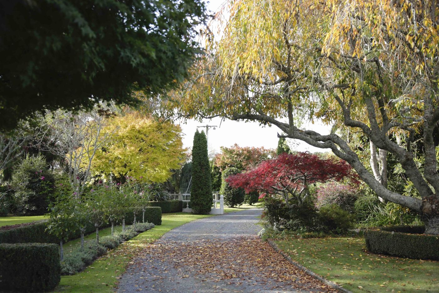 Somersal Bed and Breakfast