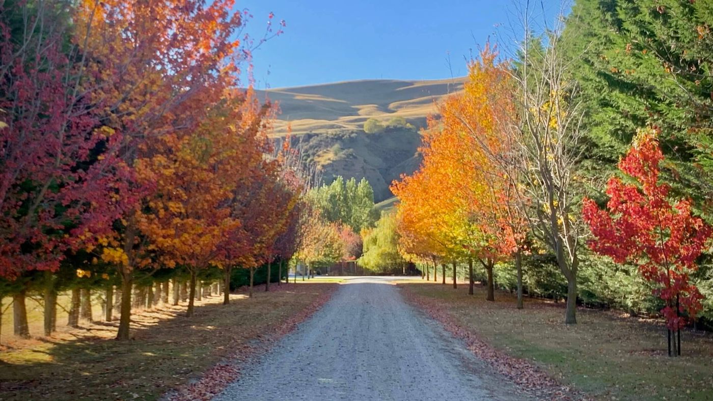 Queenstown Country Lodge