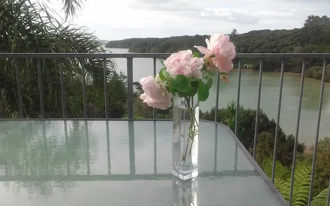Pipiroa Bay Homestay