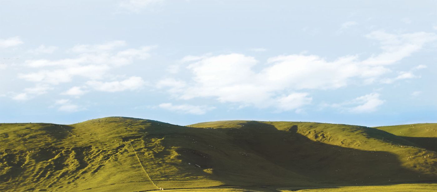 Savana Estate