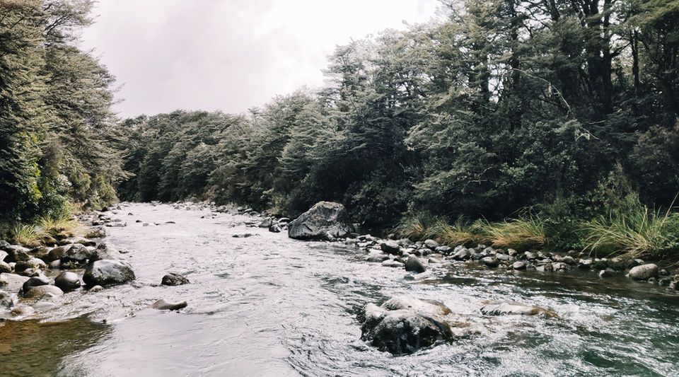 Manowhenua Lodge