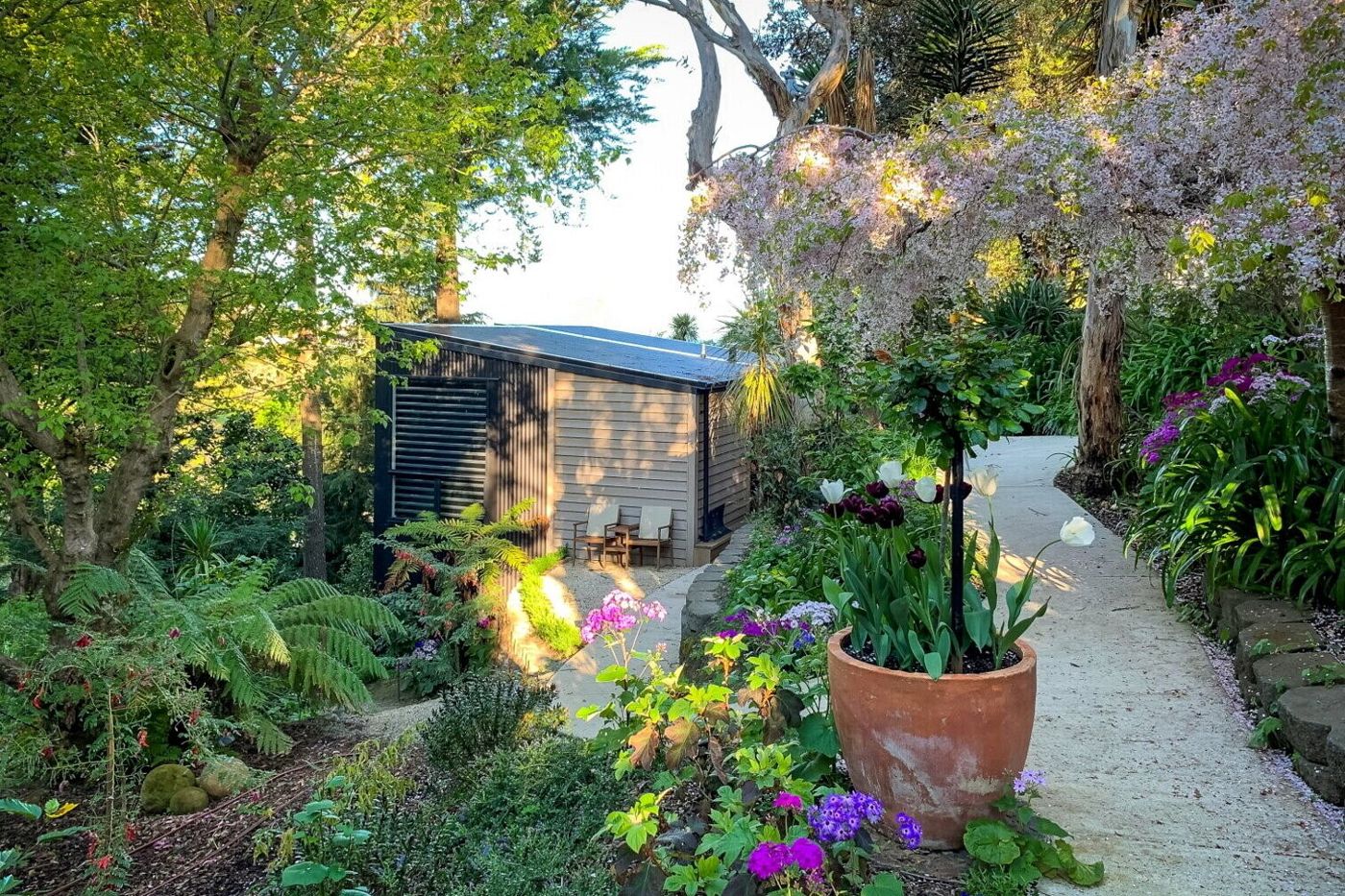 L'amour Nest