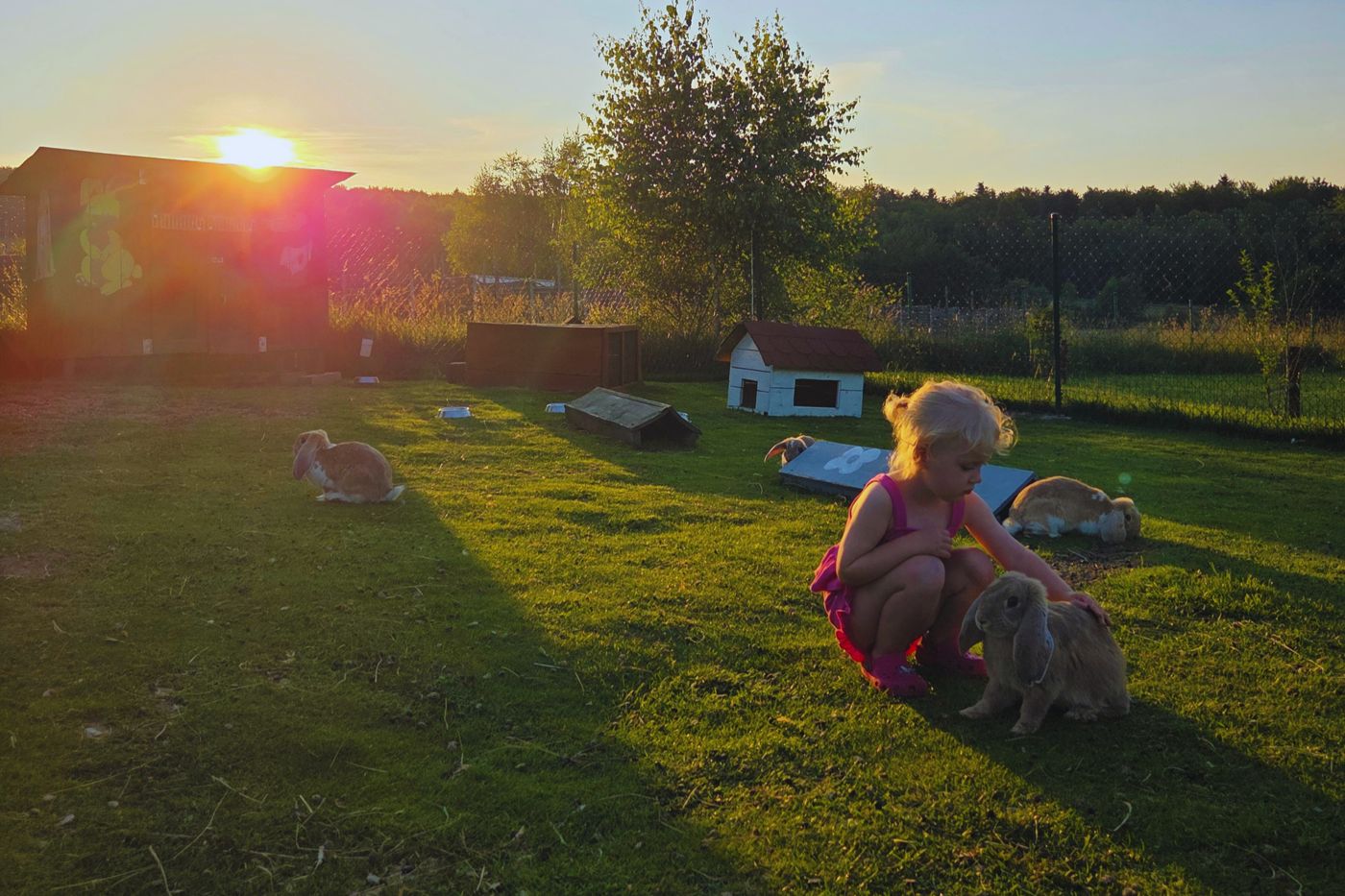 Siedlisko "Carownica"