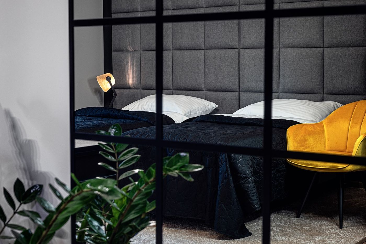 Hotel Absolwent