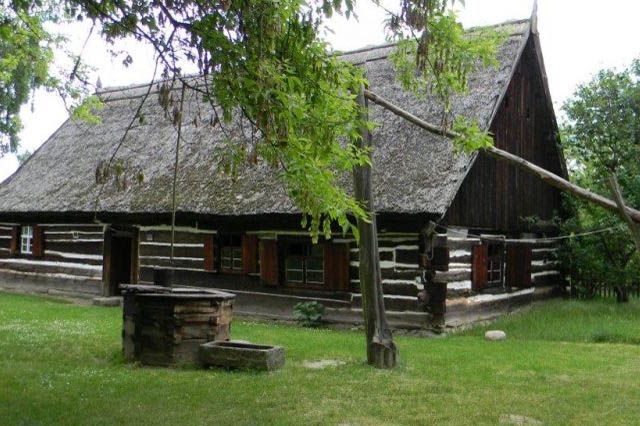 Drzewosfera - Pensjonat - Apartamenty - Wilcze - Wolsztyn