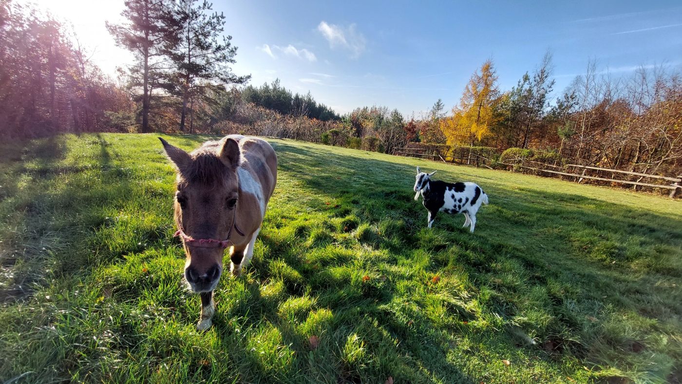 „Na Wzgórzu” - Kwatera agroturystyczna w Połchowie