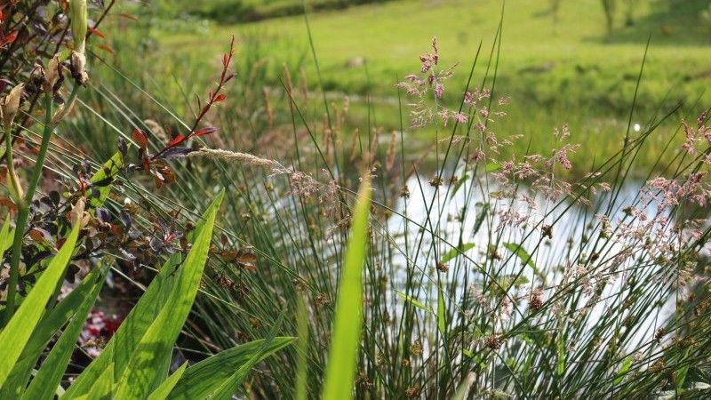 Gospodarstwo Agroturystyczne Wydrza-Przystań
