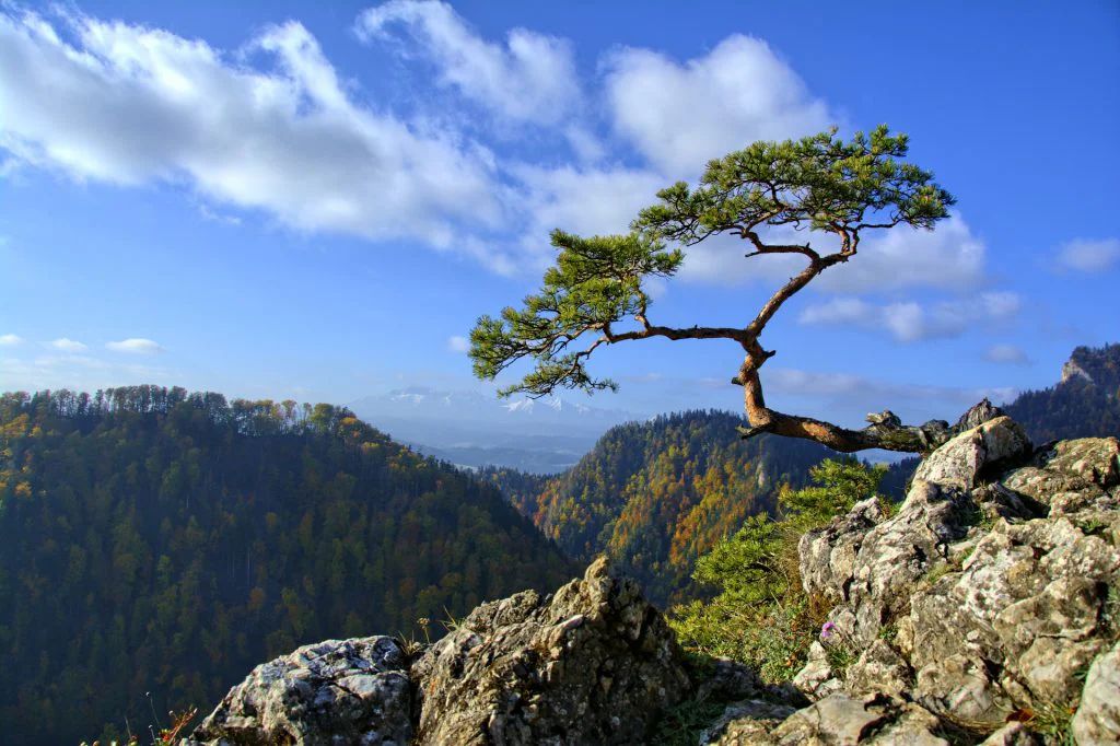Apartamenty Nad Dunajcem