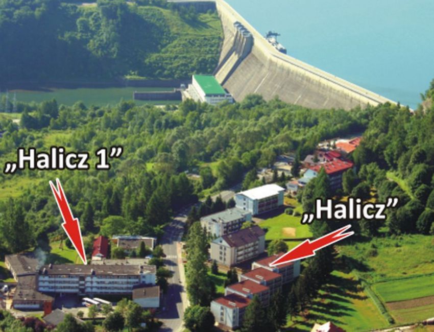 DW Halicz