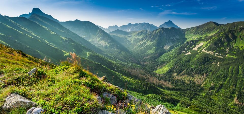 Apartamenty u Łukasza