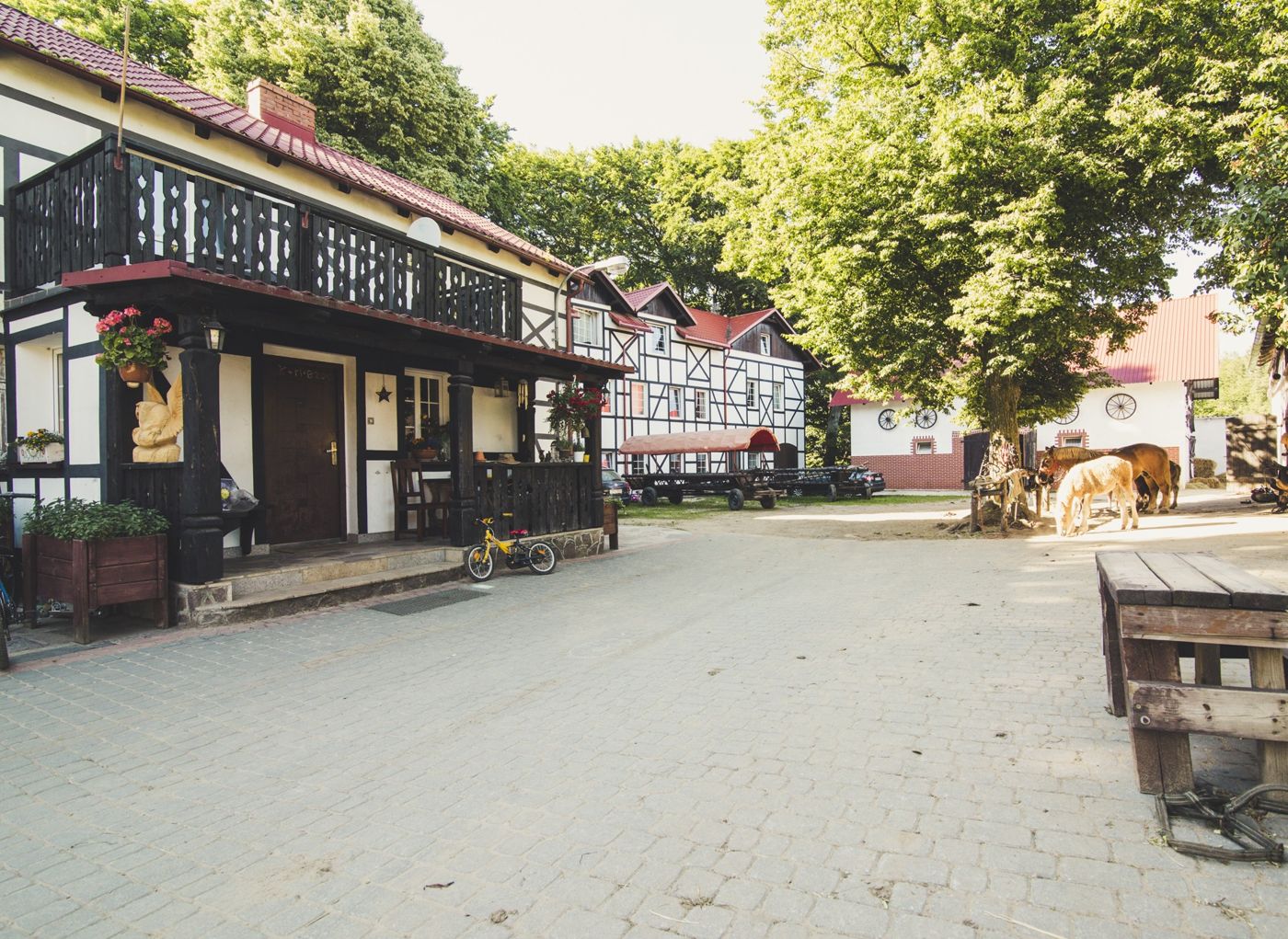 Pensjonat Kupperówka