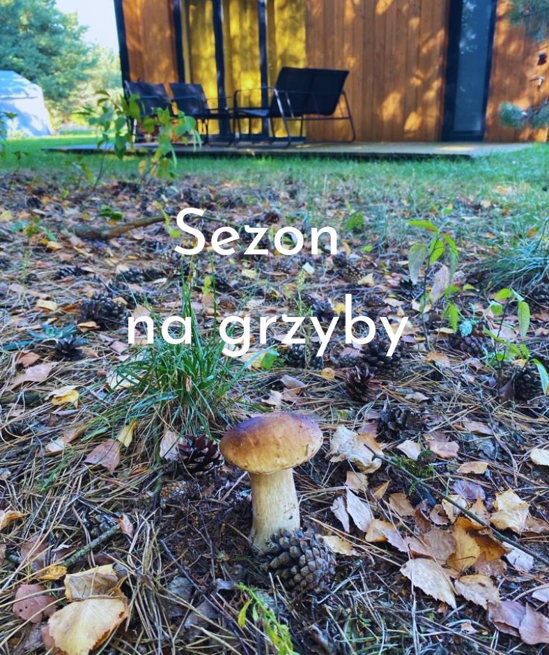 Osada Hygge