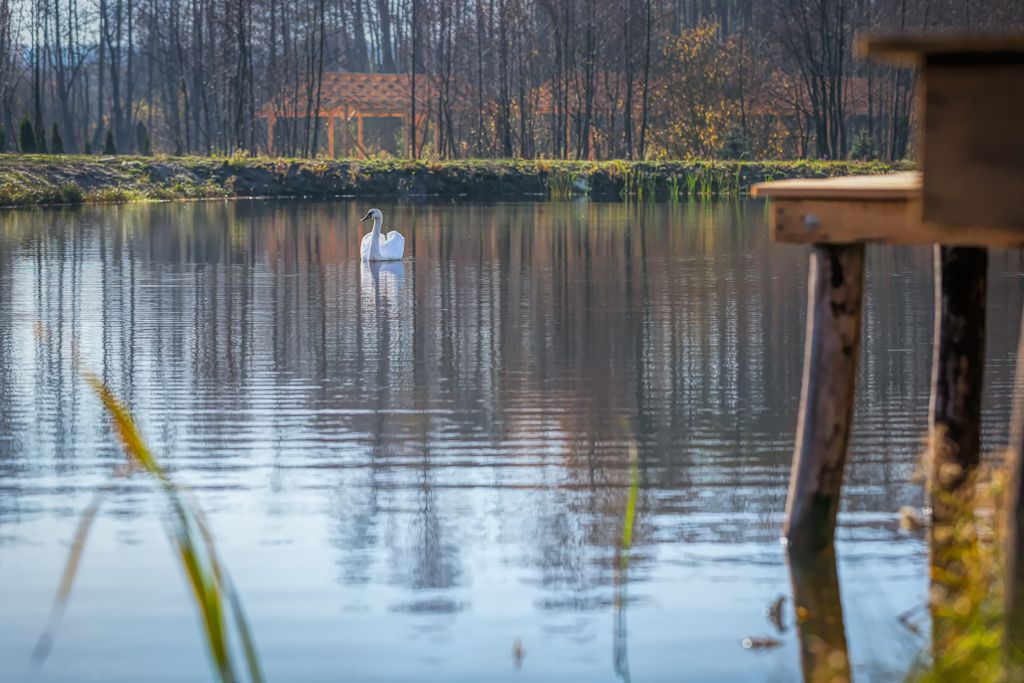 Folwark Białych Bocianów