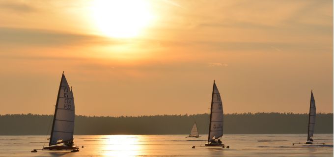 Gospoda pod Czarnym Łabędziem