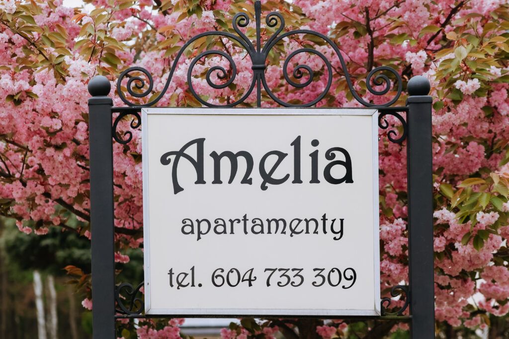 Amelia Apartamenty