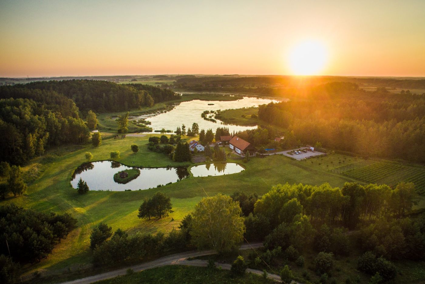 Warmińska Winnica