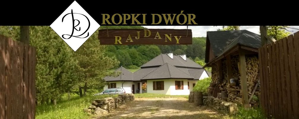 Dwór Rajdany
