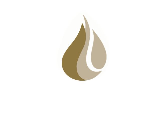 Hotel Borowinowy Zdrój Wellness SPA & Conference