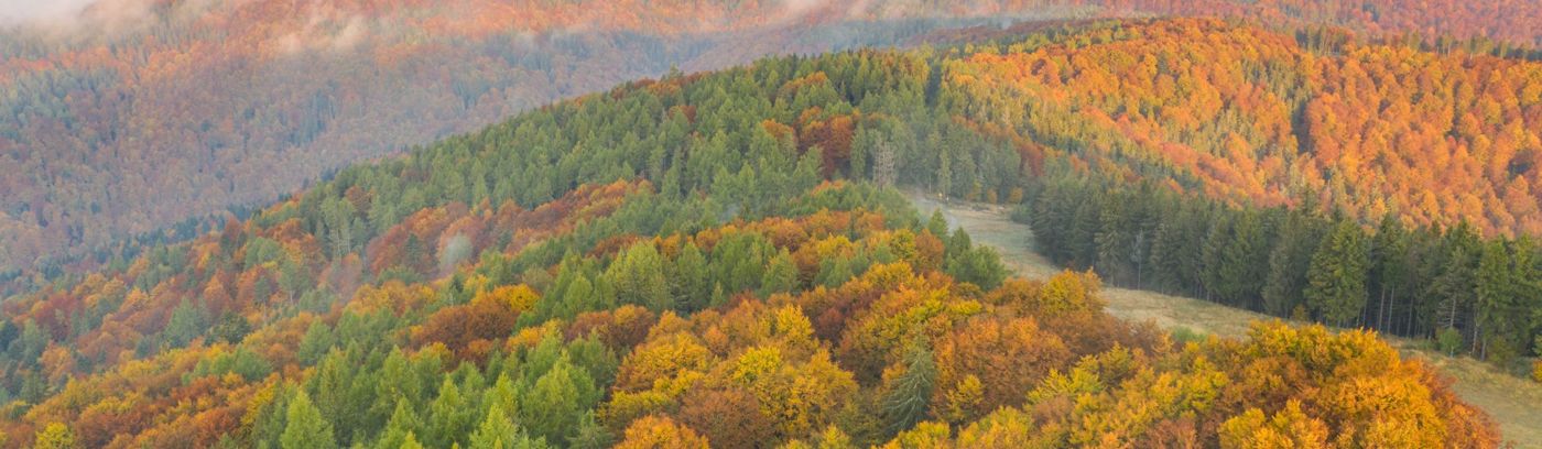 Hotel Czarny Potok ****