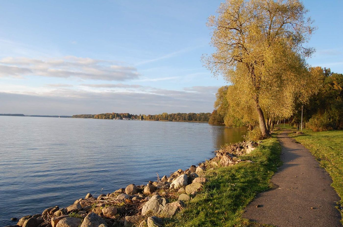 Przystanek Czapla