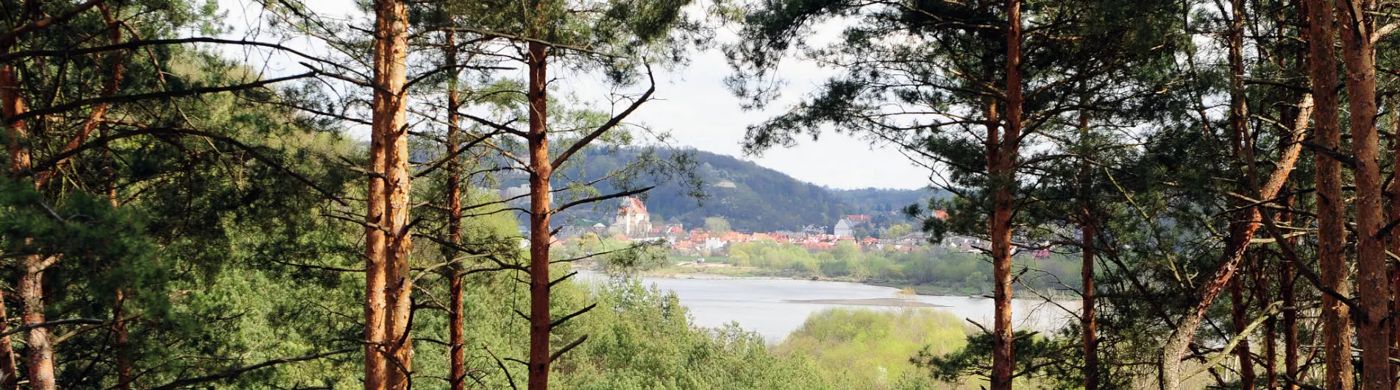 Kazimierski Zdrój