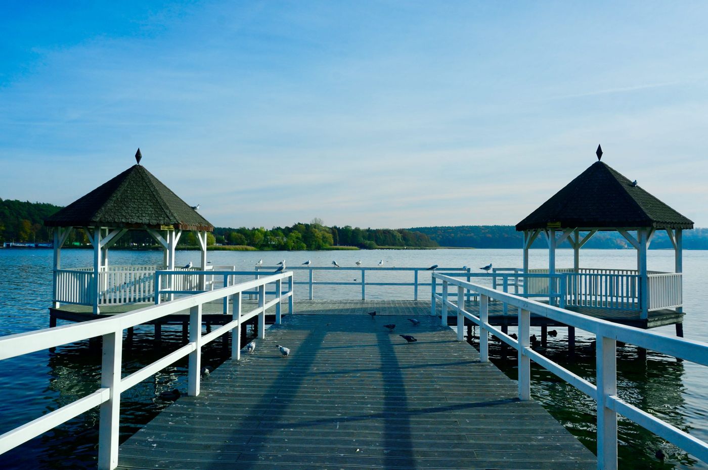 Hotel City Park