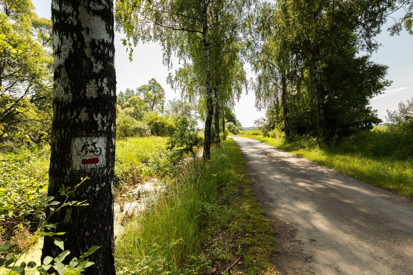 Słoneczne Zacisze
