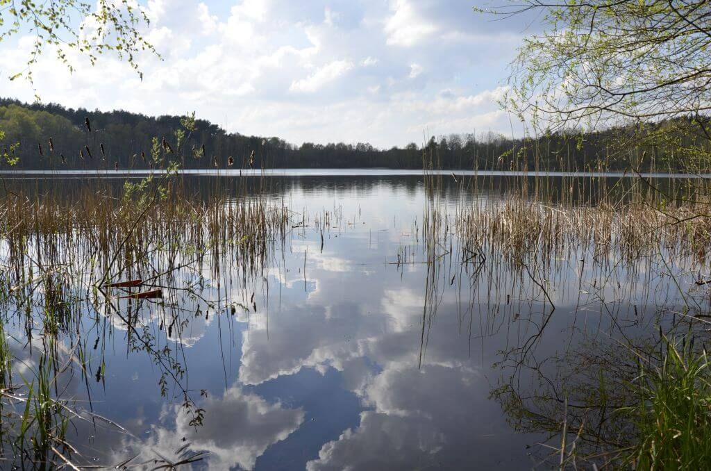 Rezydencja nad jeziorem Pestkownica