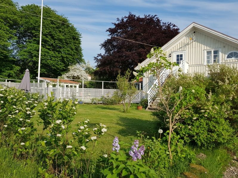 Åsa Gästis