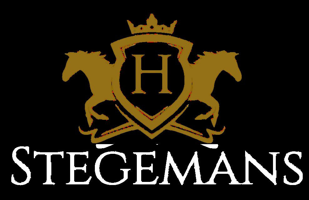 Stegemans Horse Hotel och Country Lodge
