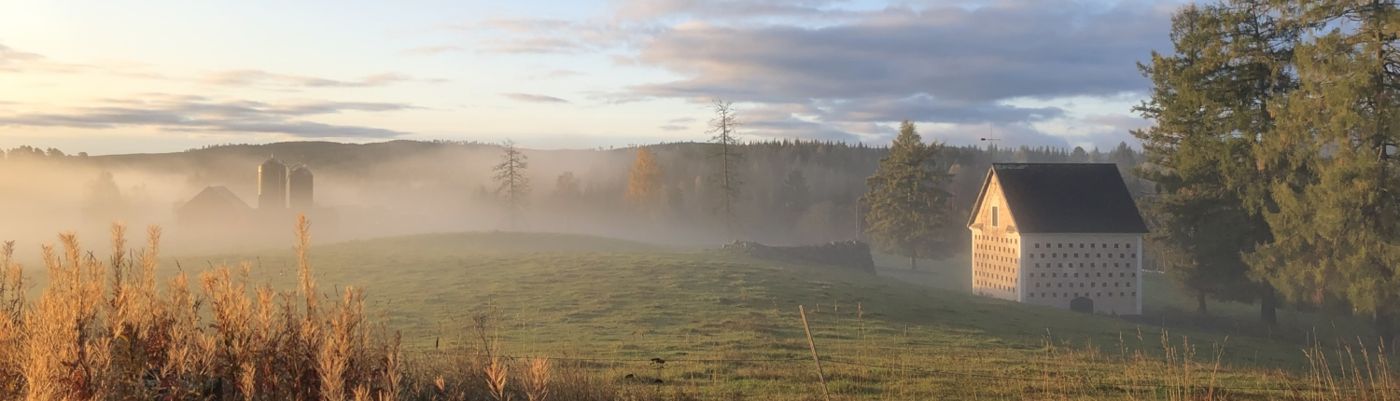 Malingsbo herrgård