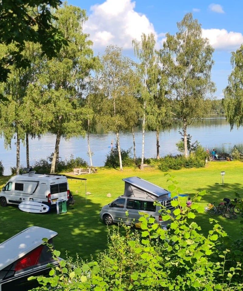 Den Sovande Älgen